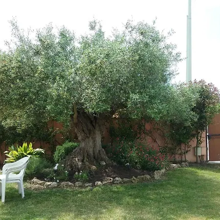 Domus Laetitia Willa Ostia
